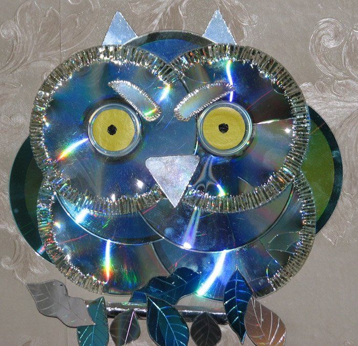 Комнатное растение плющ: фото видов Канарский и Колхидский ...